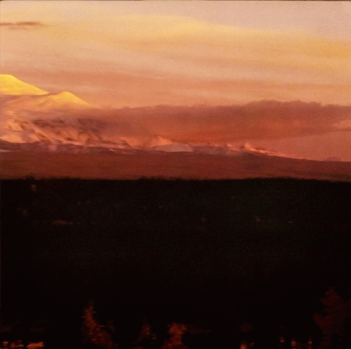 Pelican : Pelican - Mono